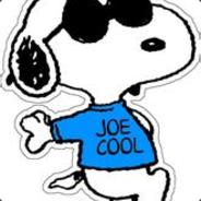 joe cool