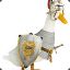 Duck Knight