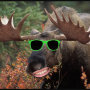 mr. friendly moose - steam id 76561198830406367