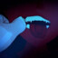 Dentist