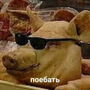 XOXLOBOG