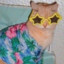 verified cryptid