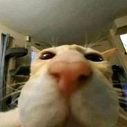 drious - steam id 76561197967233097