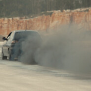 Cute but psycho - steam id 76561199256811700