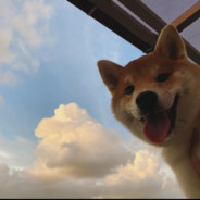 ❤️78岁老年突破手