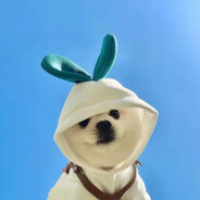 帅气迷人的你爸爸