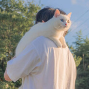 小花小花乐哈哈