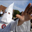 P.Diddy's avatar