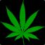 king420