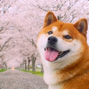 Manjusaka
