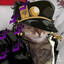 Kitty jostar