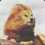 LionDoge