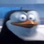 SKIPPER
