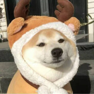 宇宙无敌奥特曼大王