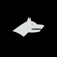 SKINS ✪BÖRÜ✪ TEM