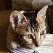 画电线宝宝的人