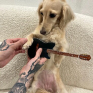 下北泽第一突破手喜多