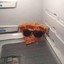 Pzzza