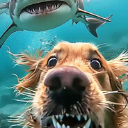 年纪不大都叫我老李