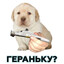 Hlebobulo4ni