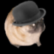 Swag Pug