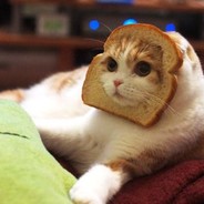 奶茶不加糖不加奶