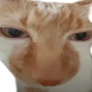 多金的贵族蛙子