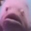 啊 0.o