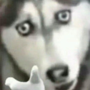 手冲手冲每天都冲