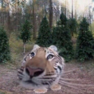 ¥瑞death瑞¥ キbipolarキ 要blood tears