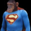 Super Chimp