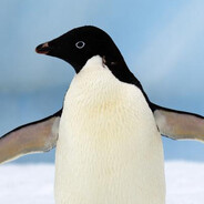 dorpenguin