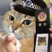 状元派出所教导员