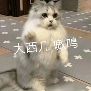 我本来就不快乐 还要为你难过