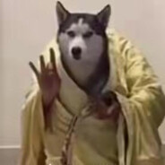 翻斗花园突击手牛爷爷