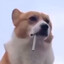 Furky