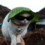 jondog