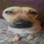 НЕдевственица's avatar