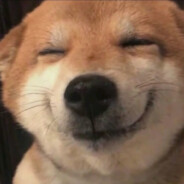 孟德尔的豌豆下士