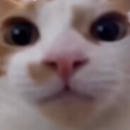 ӨFFITZΛЯ