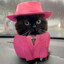 ваня котик