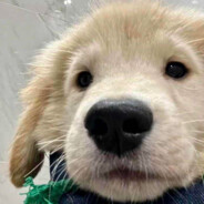 生活请你放过我。