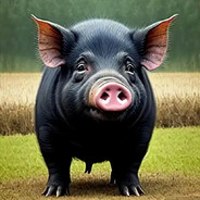 又被黑猪阴阳了