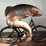 hf - steam id 76561199236878790