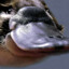 AUSTRALIANPLATYPUSSWEATSKIMMILK