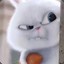do not bully me