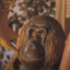 Gordongo