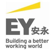 Ernst&Young丶