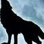 EL LOBO NOCTUGNO|