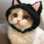 kittymenace9000